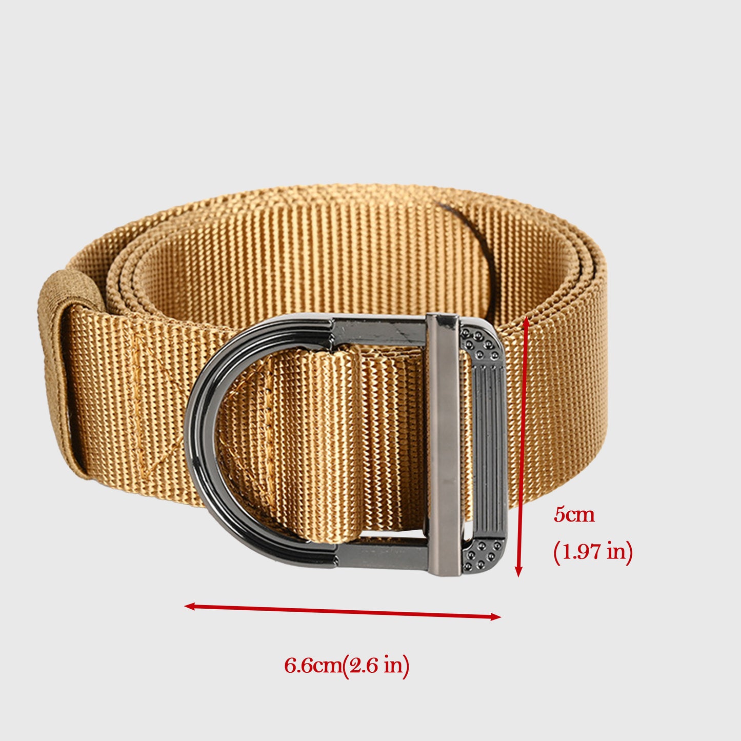 Nylon Waist Belt with Statement D - Ring Buckle