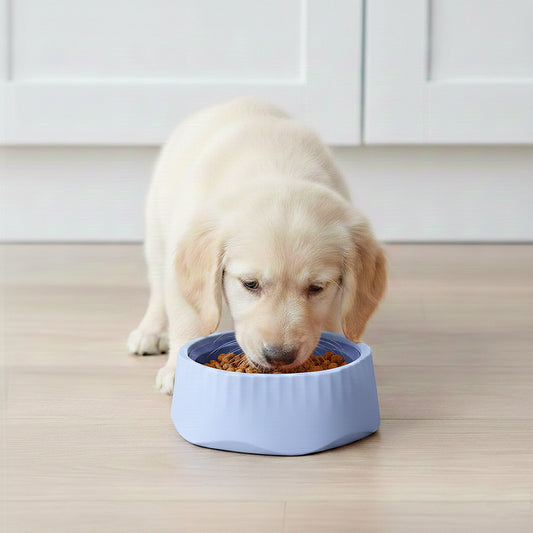 Pet Slow Feeder Bowl with Removable Insert, Non-Slip Base, Convertible Design