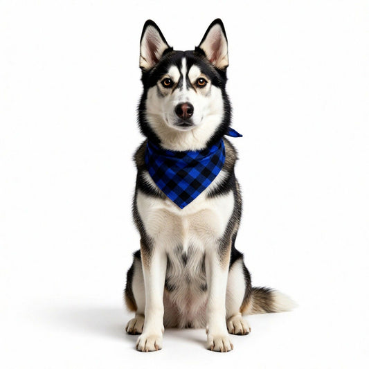 Red Plaid Pet Bandana Scarf Tie-On Triangle Neck Accessory Classic Buffalo Check