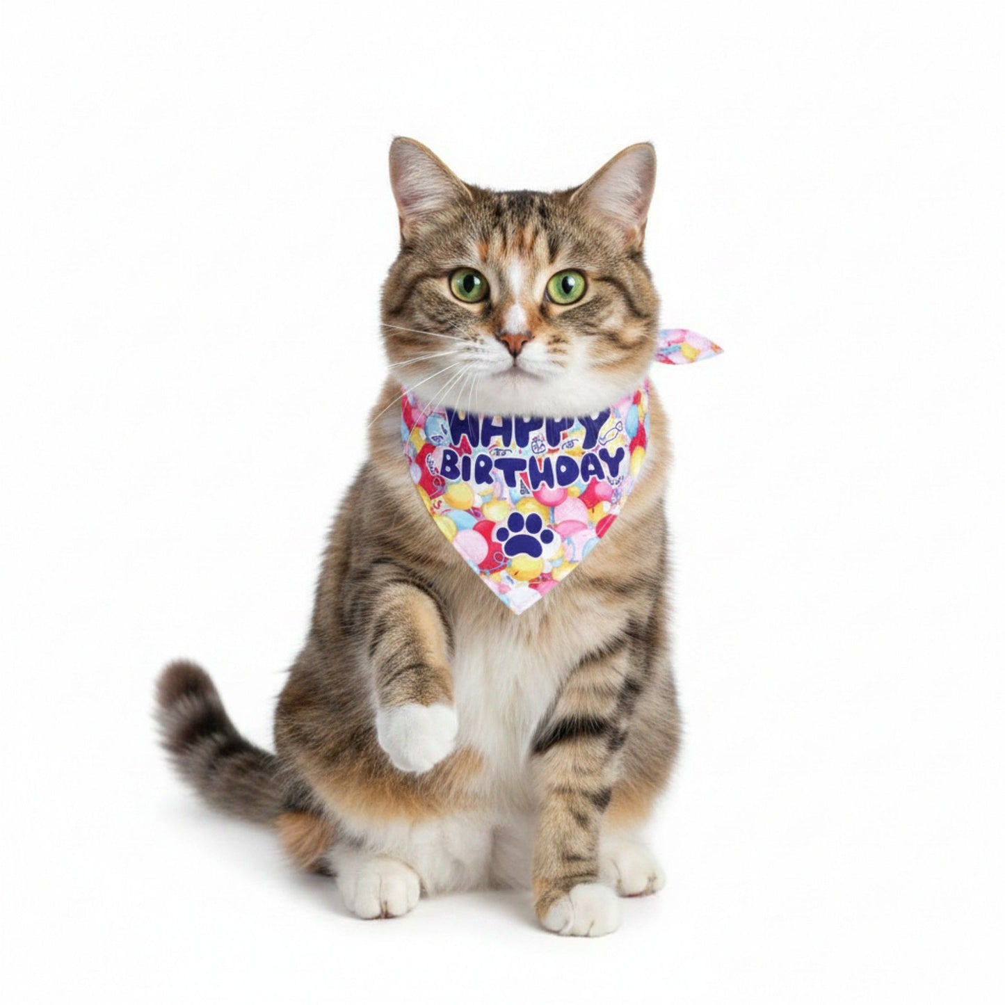 Pet Bandana Collar Soft Adjustable Birthday Print Scarf with Heart Pattern Tie Closure Neckwear
