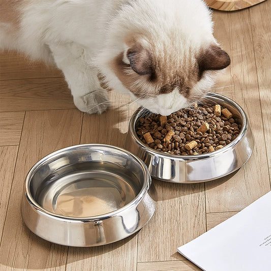 Stainless Steel Non-Slip Pet Bowls Set of 2 Food and Water Bowls for Cats and Small Dogs