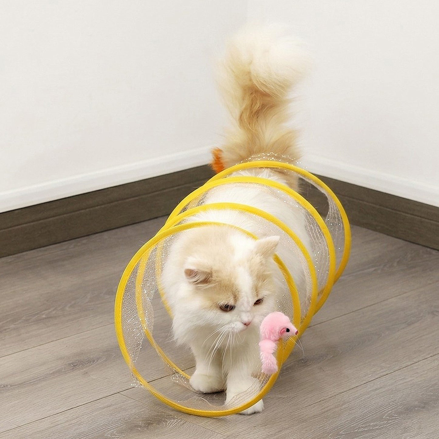Collapsible Cat Spring Tunnel Toy with Mesh Fabric Hanging Ball Interactive Cat Toy