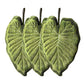 Soft Absorbent Hanging Hand Towels Leaf Shaped Reusable Cleaning Cloth with Loop 3 Pack