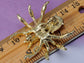Warm Amber Spider Jewelry Pin Brooch