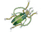 Handpainted Enamel Ruby Red Color Beetle Insect Bug Lapel Pin Brooch