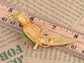Green Enamel Tropical Parrot Bird Brooch Pin