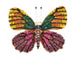 Vintage Shine Pink Green Multicolor Empress Monarch Winged Butterfly Bug Brooch Pin