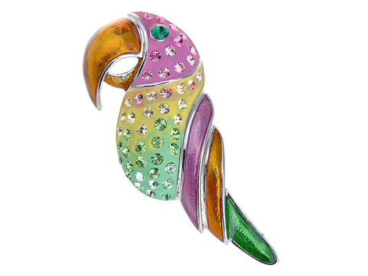 Beaked Parakeet Budgie Colorful Tropical Pin Brooch