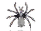 Pirate Gun Black Jeweled Spider Insect Pin Brooch
