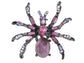 Pirate Gun Black Jeweled Spider Insect Pin Brooch