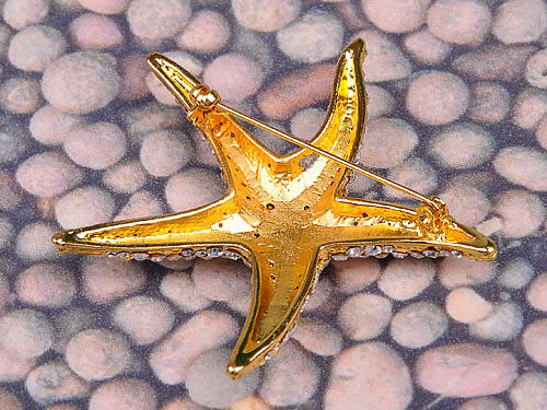 Colored Sea Starfish Brooch Pin