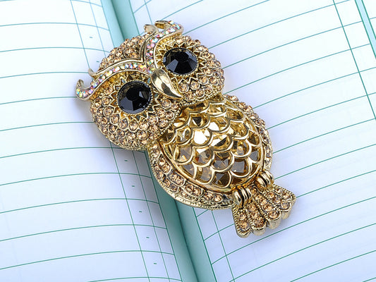 Stunning Captivating Topaz Big Eyed Owl Bird Pin Brooch