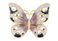 Elements Opalescent Swirl Colors Vibrant Butterfly Pin Brooch