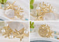 Elegant Zircon Gold Starfish Shell Pearl Brooch Pins For Ladies Inlay Sea Animal Jewelry Brooches