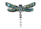 Alilang Natural Abalone Shell Silver Tone Alloy Dragonfly Insect Versatile Fashion Brooch Pin