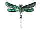 Alilang Natural Abalone Shell Silver Tone Alloy Dragonfly Insect Versatile Fashion Brooch Pin