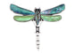 Alilang Natural Abalone Shell Silver Tone Alloy Dragonfly Insect Versatile Fashion Brooch Pin