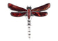 Alilang Natural Abalone Shell Silver Tone Alloy Dragonfly Insect Versatile Fashion Brooch Pin