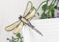 Alilang Natural Abalone Shell Silver Tone Alloy Dragonfly Insect Versatile Fashion Brooch Pin