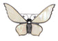 Alilang Silvery Tone Natural Abalone Shell Butterfly Insect Brooch Pin Pendant