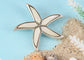 Alilang Silver Tone Abalone Shell Starfish Sea Star Animal Brooch Pin & Pendant