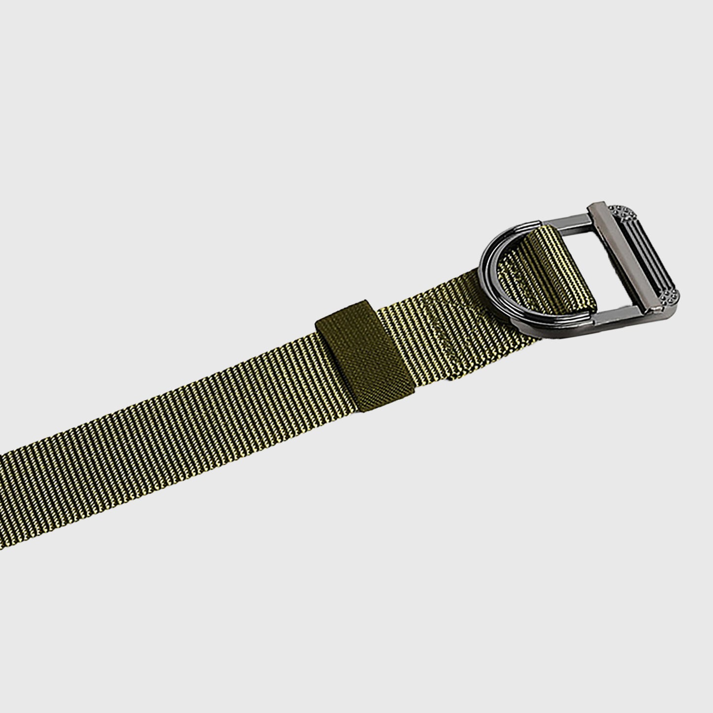 Nylon Waist Belt with Statement D - Ring Buckle