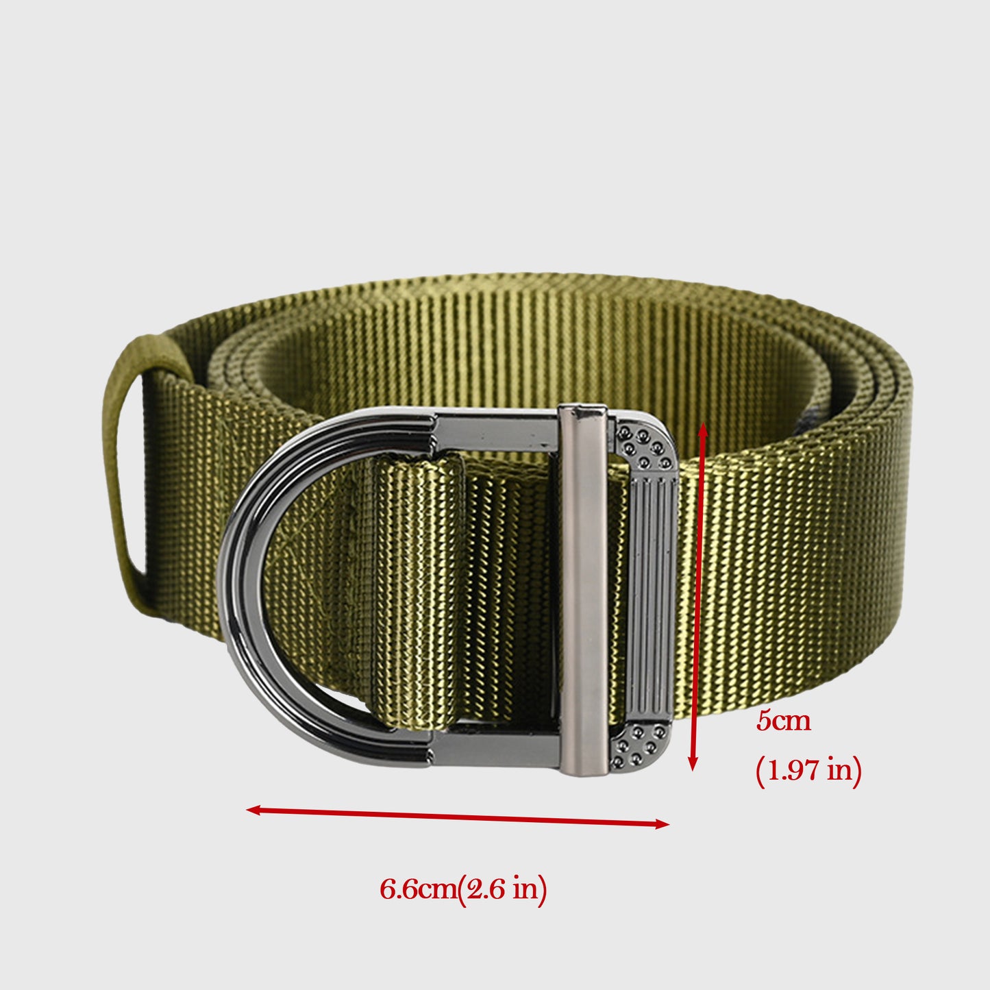 Nylon Waist Belt with Statement D - Ring Buckle