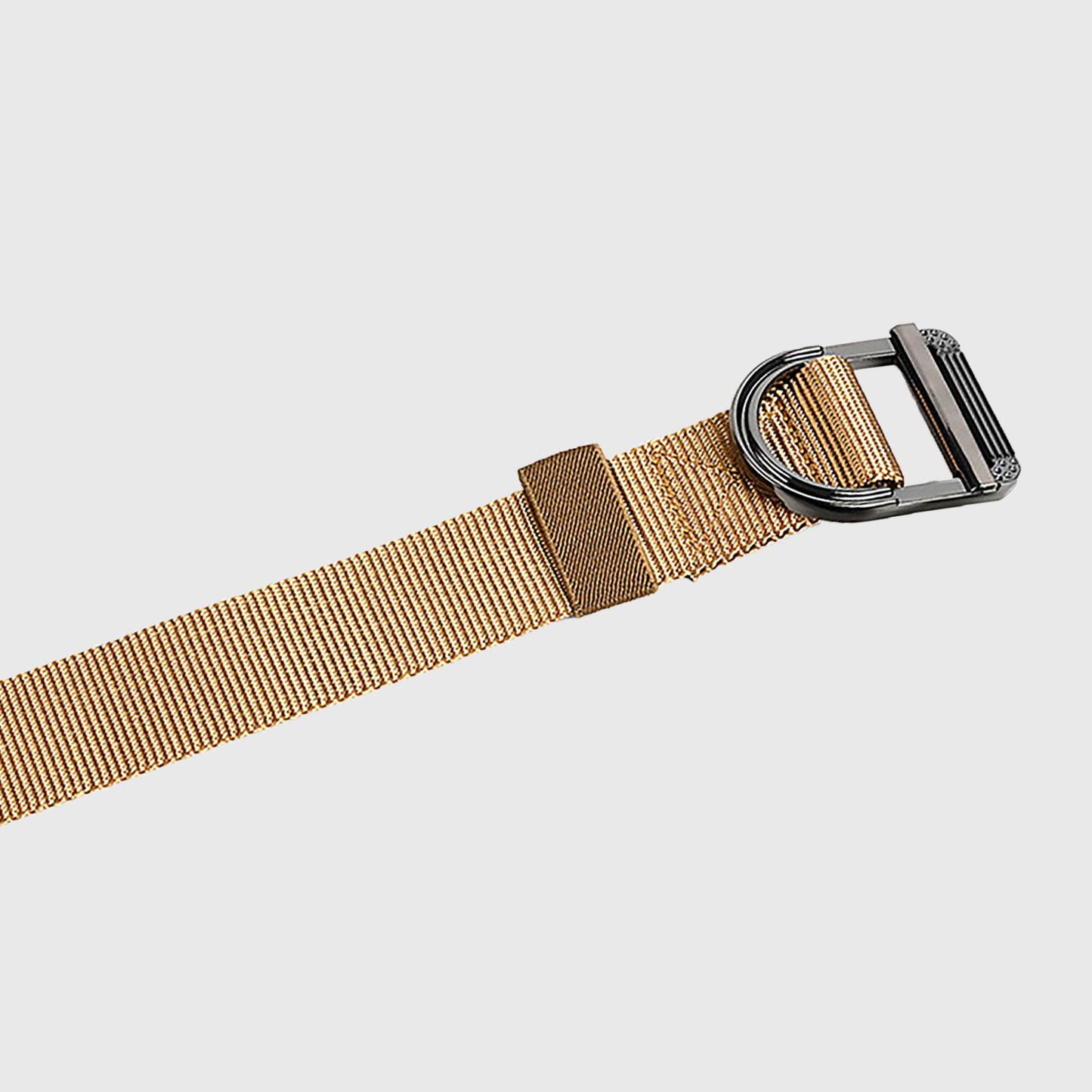 Nylon Waist Belt with Statement D - Ring Buckle