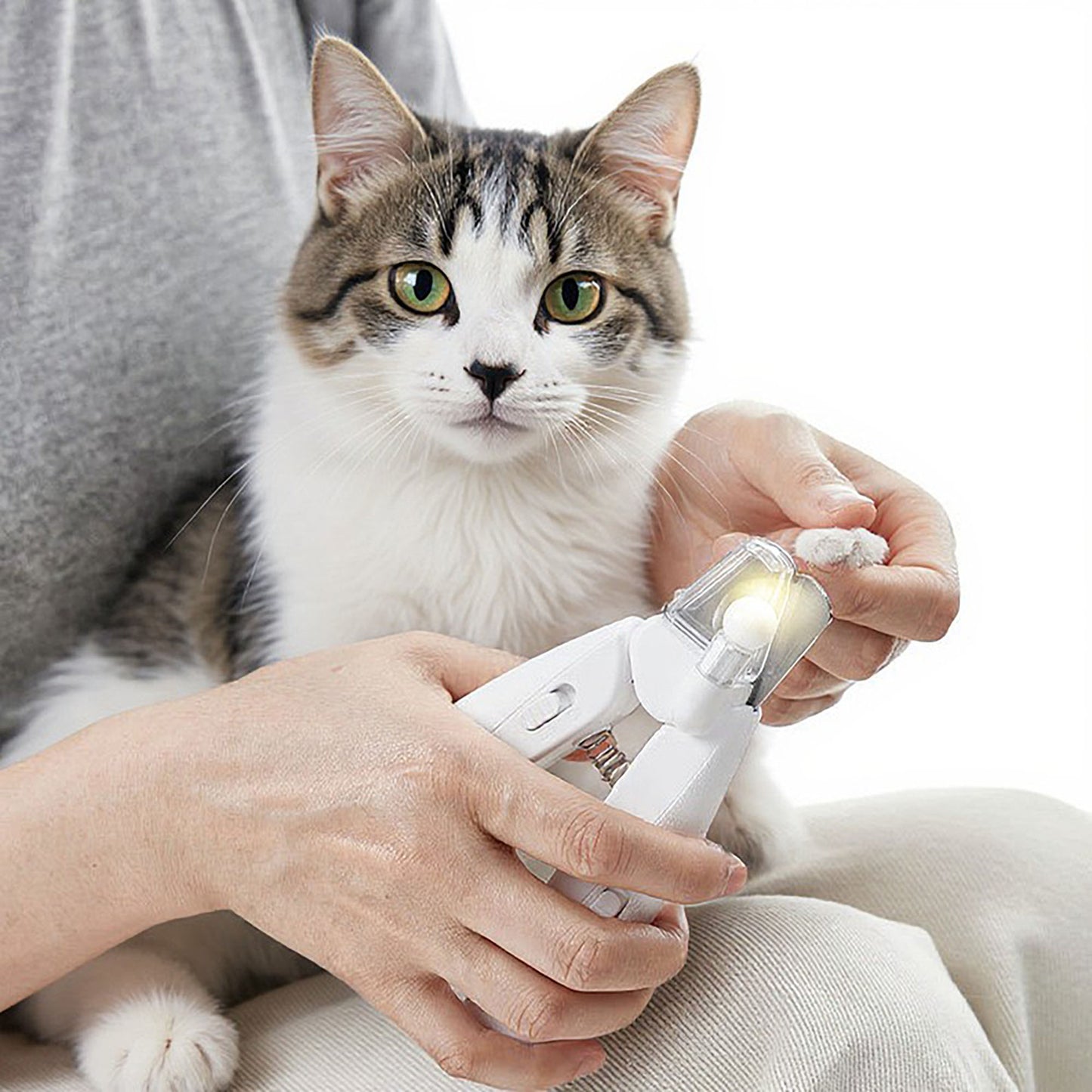 Rechargeable Pet Nail Grinder with LED Light Quiet Electric Cat and Dog Grooming Tool
