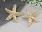 Alilang Women's Starfish Textured Stud Earrings Nautical Jewelry Gifts for Women and Teen Girls