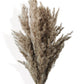 Dried Floral Arrangement with Pampas Grass and Textured Accents
