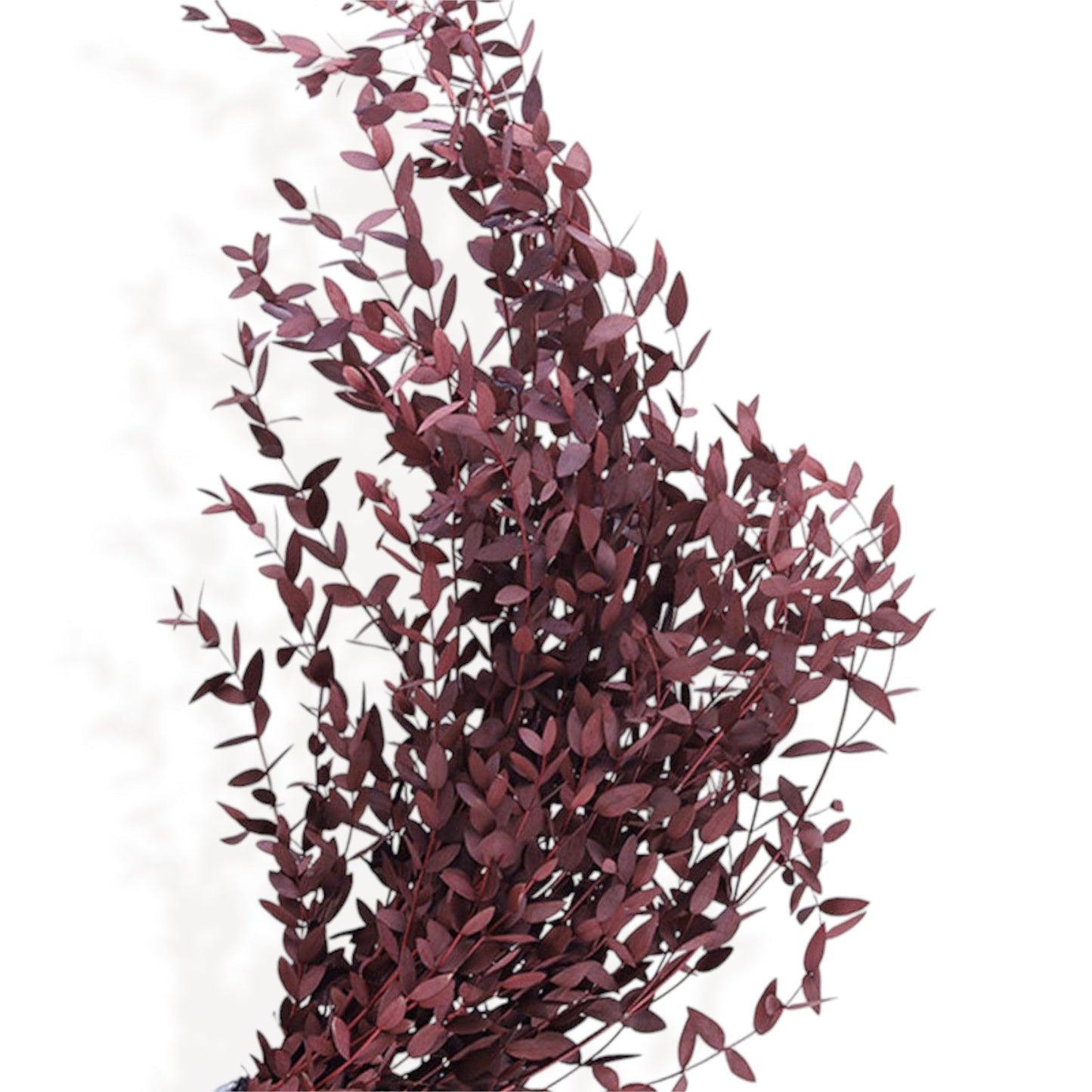 Dried Floral Arrangement with Pampas Grass and Textured Accents