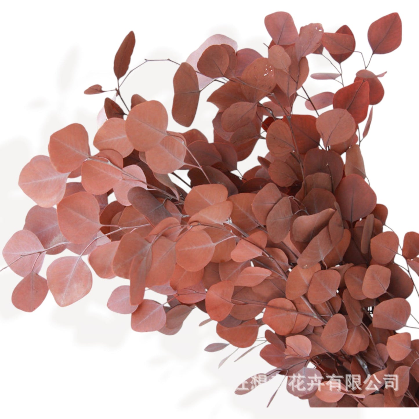 Dried Floral Bouquet with Pampas Grass, Eucalyptus, and Accents