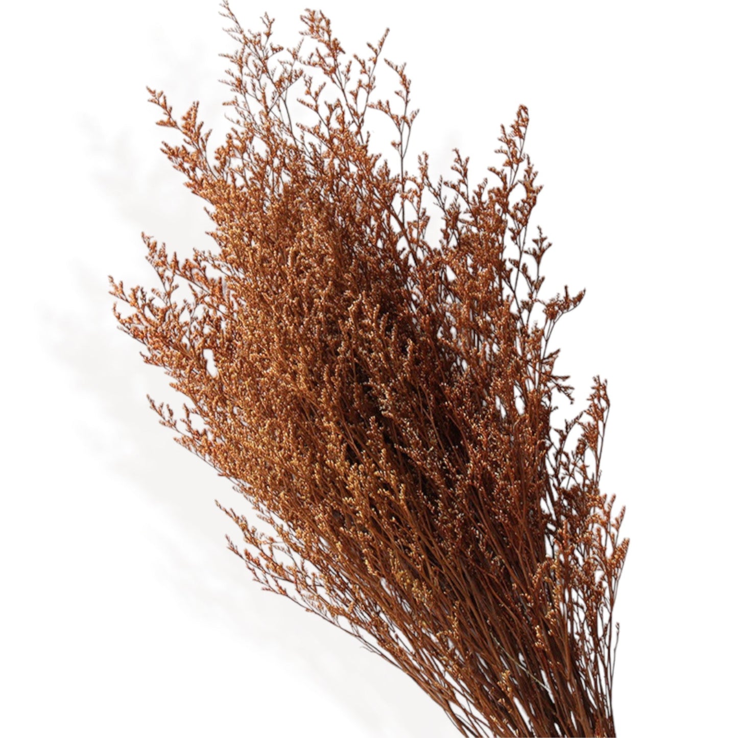 Neutral Dried Floral Arrangement with Pampas Grass and Preserved Leaves