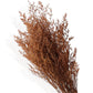 Neutral Dried Floral Arrangement with Pampas Grass and Preserved Leaves