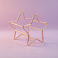 Star Shaped Beauty Sponge Holder Set of 6 Makeup Blender Drying and Storage Stands