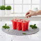 Silicone Popsicle Mold with Lid 6 Cavity Reusable Ice Pop Maker Tray