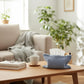 Soft Boucl¨¦ Fabric Tissue Holder Lightweight Decorative Cover