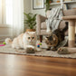 Plush Mouse Cat Toys 2-Pack Soft Faux Fur Design with Tails for Interactive Play
