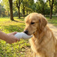 Portable Dog Water Bottle with Built-in Bowl Leakproof Travel Pet Water Dispenser for Dogs