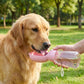 Portable Dog Water Bottle with Food Container Travel Pet Water Dispenser Bowl for Dogs