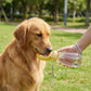 Portable Dog Water Bottle with Food Container Travel Pet Water Dispenser Bowl for Dogs