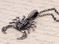 Antique Grey Scorpio Scorpion Pendant Necklace