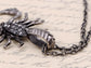 Antique Grey Scorpio Scorpion Pendant Necklace