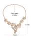 Rose Gold Champagne Teardrop Cluster Statement Bib Pendant Necklace