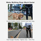 Hands Free Dog Leash Adjustable Reflective Running Belt Bag for Walking Jogging with Medium Large Dogs