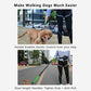 Hands Free Dog Leash Adjustable Reflective Running Belt Bag for Walking Jogging with Medium Large Dogs