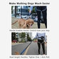 Hands Free Dog Leash Adjustable Reflective Running Belt Bag for Walking Jogging with Medium Large Dogs