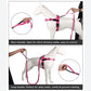 Dog Leash Reflective Comfort Dual Handle Elastic Pet Training Leash