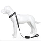 Dog Leash Padded Handle Comfort Reflective Nylon Pet Leash for All Breeds 4ft and 5ft